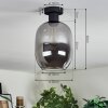 Apedo ceiling light Smoke-coloured, 1-light source