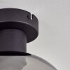 Apedo ceiling light Smoke-coloured, 1-light source