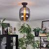 Apedo ceiling light Smoke-coloured, 1-light source
