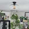 Apedo ceiling light clear, 1-light source