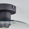 Apedo ceiling light clear, 1-light source