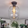 Apedo ceiling light clear, 1-light source