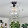 Apedo ceiling light clear, 1-light source