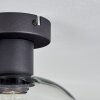 Apedo ceiling light clear, 1-light source