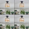 Apedo ceiling light Amber, clear, 1-light source