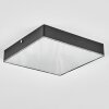 Esmar ceiling light LED black, 1-light source