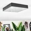 Esmar ceiling light LED black, 1-light source