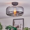 Boza ceiling light Smoke-coloured, 1-light source