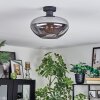 Mertola ceiling light Smoke-coloured, 1-light source