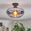 Mertola ceiling light clear, Smoke-coloured, 1-light source