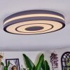 Ganor ceiling light LED black, white, 1-light source, Remote control