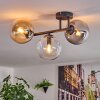 Gastor ceiling light, globe light Amber, clear, Smoke-coloured, 3-light sources