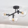 Gastor ceiling light, globe light clear, 3-light sources