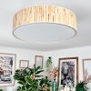 Foggia ceiling light matt nickel, 3-light sources