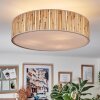 Foggia ceiling light matt nickel, 3-light sources