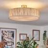 Foggia ceiling light matt nickel, 3-light sources