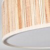 Foggia ceiling light matt nickel, 3-light sources