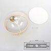 Foggia ceiling light matt nickel, 3-light sources