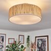 Foggia ceiling light matt nickel, 3-light sources