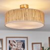 Foggia ceiling light matt nickel, 3-light sources
