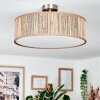 Foggia ceiling light matt nickel, 3-light sources