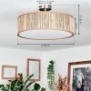 Foggia ceiling light matt nickel, 3-light sources