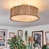 Foggia ceiling light matt nickel, 3-light sources