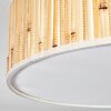 Foggia ceiling light matt nickel, 3-light sources