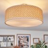 Foggia ceiling light matt nickel, 3-light sources