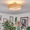 Foggia ceiling light matt nickel, 3-light sources