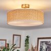 Foggia ceiling light matt nickel, 3-light sources
