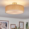 Foggia ceiling light matt nickel, 3-light sources