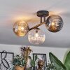 Chehalis ceiling light, globe light Amber, clear, Smoke-coloured, 3-light sources