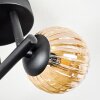 Chehalis ceiling light, globe light Amber, Smoke-coloured, 3-light sources
