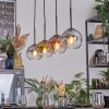 Koyoto hanging light, globe light, pendant light gold, clear, coppery, Smoke-coloured, 4-light sources