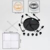Koyoto hanging light, globe light, Cluster pendant lamp Amber, clear, Smoke-coloured, 5-light sources