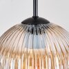 Ripoll hanging light, globe light, Cluster pendant lamp Amber, clear, Smoke-coloured, 5-light sources