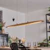 Fugelsta hanging light, pendant light LED black, 1-light source
