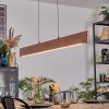 Fugelsta hanging light, pendant light LED black, 1-light source