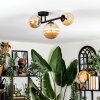 Chehalis ceiling light, globe light Amber, 3-light sources