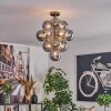 Chehalis ceiling light, globe light 39 cm LED Smoke-coloured, 13-light sources