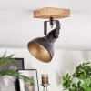 Hagan ceiling light, ceiling spotlight chrome, Ecru, black, 1-light source