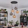 Ripoll hanging light, globe light, Cluster pendant lamp Amber, Smoke-coloured, 5-light sources