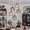 Ripoll hanging light, globe light, Cluster pendant lamp Amber, clear, Smoke-coloured, 5-light sources