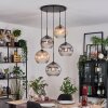 Ripoll hanging light, globe light, Cluster pendant lamp Amber, clear, Smoke-coloured, 5-light sources