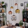 Ripoll hanging light, globe light, Cluster pendant lamp chrome, gold, clear, coppery, Smoke-coloured, 5-light sources