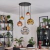 Ripoll hanging light, globe light, Cluster pendant lamp chrome, gold, clear, coppery, Smoke-coloured, 5-light sources