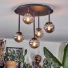 Chehalis ceiling light, globe light Smoke-coloured, 5-light sources