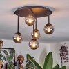 Chehalis ceiling light, globe light Smoke-coloured, 5-light sources