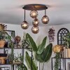 Chehalis ceiling light, globe light Smoke-coloured, 5-light sources